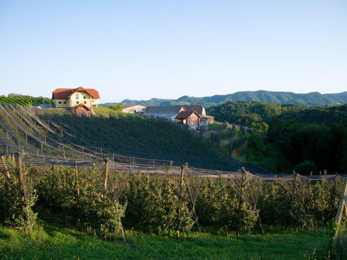 Holiday Home Winzerhaus Eva Spicnik 외부 사진